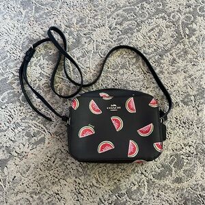 Coach Camera Bag Crossbody Watermelons